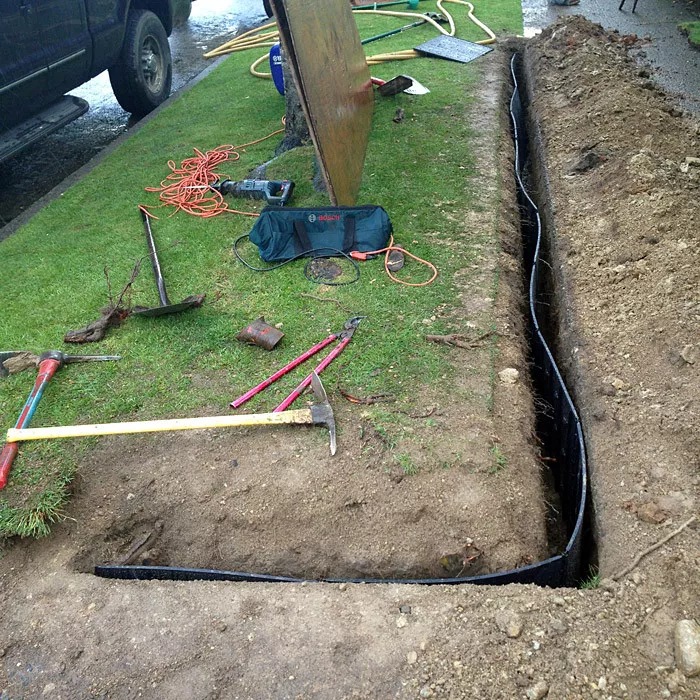 Installing a Root Barrier: Trees, Bamboo and Foundations Done Right